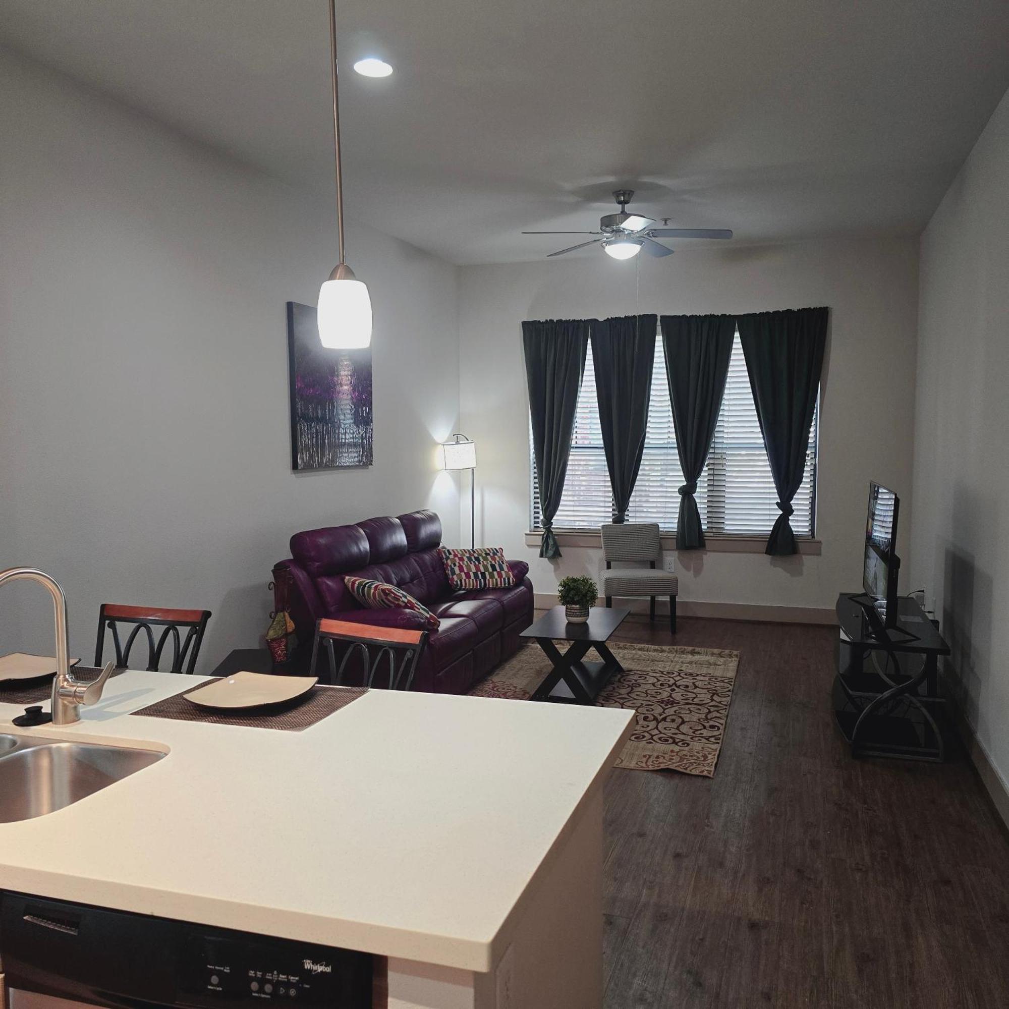 Midtown Downtown Breeze Apartment ฮูสตัน ภายนอก รูปภาพ